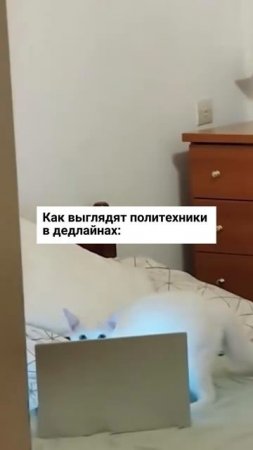 Главное — не отвлекать