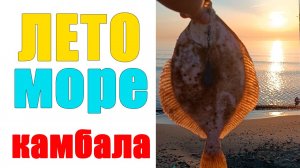 Камбаловая рыбалка на балтийском море, Летом тоже есть рыба