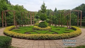 Донецкий ботанический сад