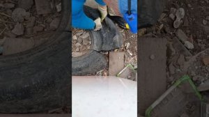 1 клумба из покрышки