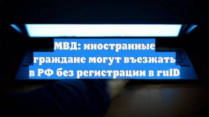 МВД: иностранные граждане могут въезжать в РФ без регистрации в ruID