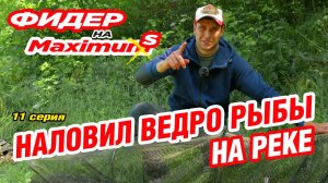 Фидер на Максимум! Серия 11. Наловил ведро рыбы на реке