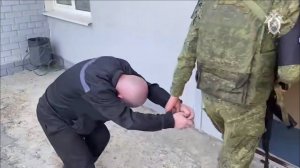 🔴Собака сутулая🔴