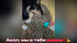 Акоп, мы с тобой! Все получится.