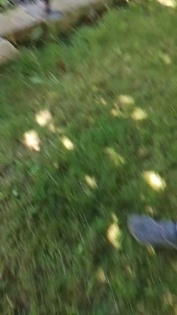1000000606.mp4