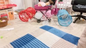 собираюсь убираться в зале в деревенском доме