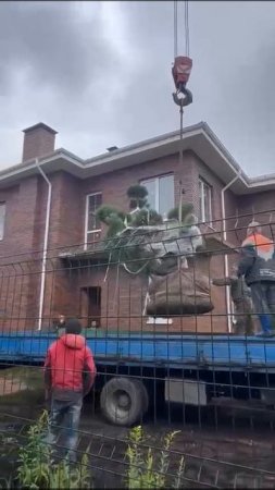 Благоустройство
и расчистка участков в Москве и МО