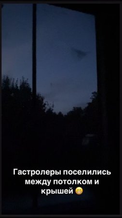 22-07-2025