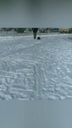 Вольф, команда ползи