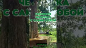 #БлагоВест ✴ ГАРМОНИЯ ЧЕЛОВЕКА С САМИМ СОБОЙ