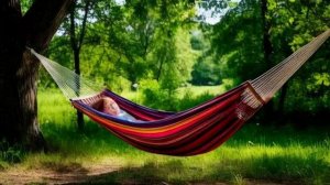 22 июля - День гамака