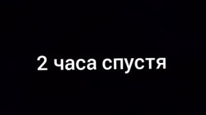 игорь путешествие №22 птица киви