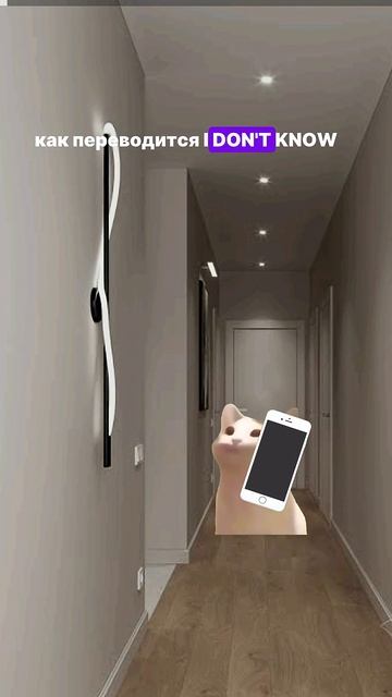 Котик не знает что такое..#fyp #cat #catsoftiktok #catsvideo #cutecats #cut #tik_tok #cupcut #shorts смотреть онлайн