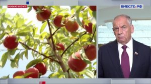 Меры поддержки российского садоводства. Сергей Митин. Сказано в Сенате