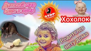 Юная антимошенница против закоренелых разводил. Дебют и премьера. Автор Дашенька.