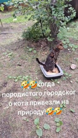 1000056370.mp4