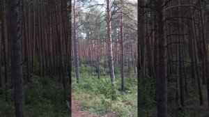20.07.2025