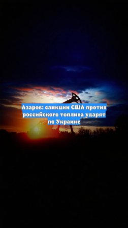 Азаров: санкции США против российского топлива ударят по Украине