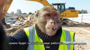 Сбежал из зоопарка и теперь ищу работу. Часть 2.