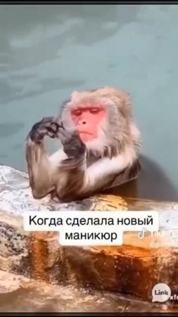 1000256837.mp4