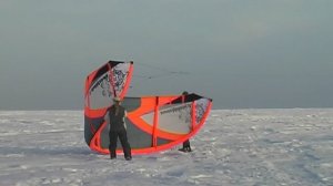 Кайт инфекция 2011 год