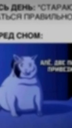 scene_output.mp4