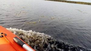 утренняя рыбалка на спиннинг в июле