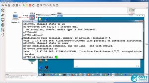 06. Speed & Duplex Demo; PC and Switch