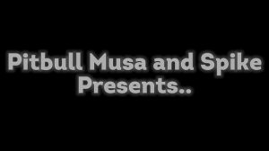 #pitbull Musa And Spike presents @DragonlifeAgop