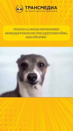 а у вас как?