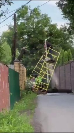 В Домодедово пилили дерево и что-то пошло не так
