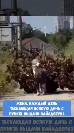 Жиза? 😂😂😂