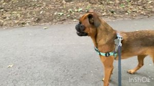 Смотрите до конца