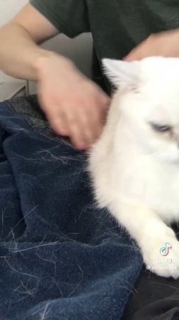 Находка