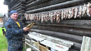 Холодное копчение Печорской рыбы \ Розыгрыш \ Кому то крупно повезёт !