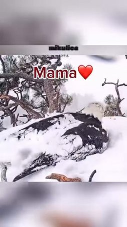 1000065392.mp4