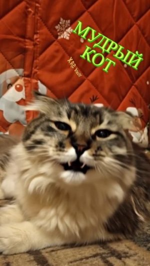 Это не я.