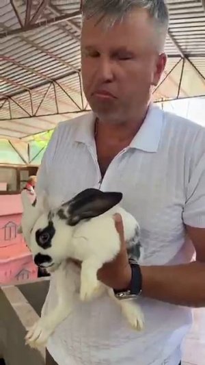 Виктор Жиленко у нас более 50 видов кроликов Евпаторийский парк миниатюр Альпийская роза