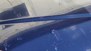 VID_20250723_160318.mp4