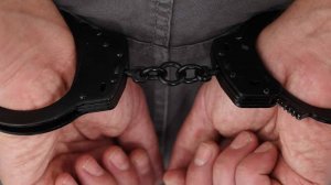 Задержанному вице-губернатору Брянской области грозит до 10 лет лишения свободы