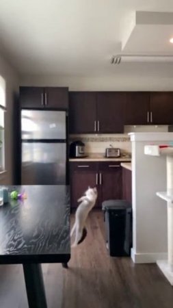 1000257276.mp4