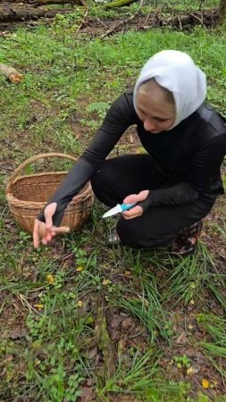 Первая тихая охота в этом году🍄🟫