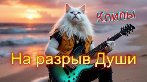 МУЗЫКА 2025  для ДУШИ2025 🫣НОВЫЙ АЛЬБОМ-"НА РАЗРЫВ ДУШИ"😍Russian music🥓Russian  Mix 2025(#75)