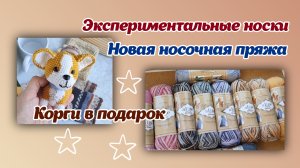Экспериментальные носки/новая носочная пряжа/корги в подарок