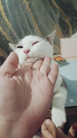 #Эта жара сводит с ума🫠