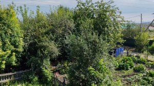 Деревенская атмосфера утром, жизнь в деревне