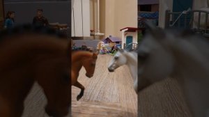 лошади шляйх вызов принят остальные вызов от авангард во 2 части