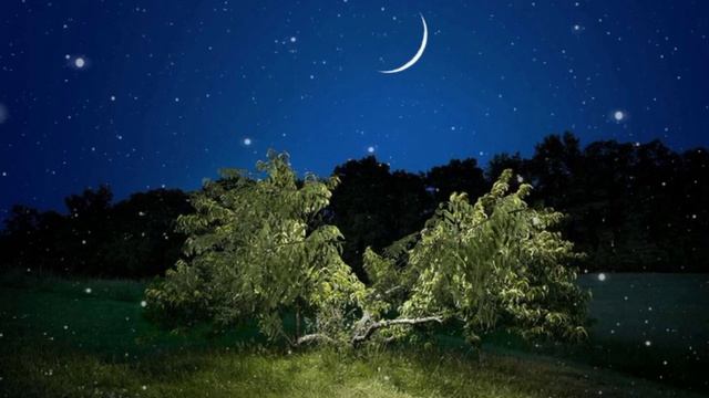 24 июля 2025 - новолуние. Мантра Луны. смотреть онлайн