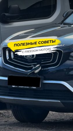 Как птицы портят ваш автомобиль?