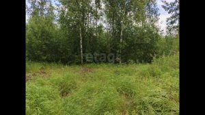 video_2025-07-23_11-22-32